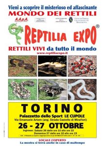mostra di rettili a Torino